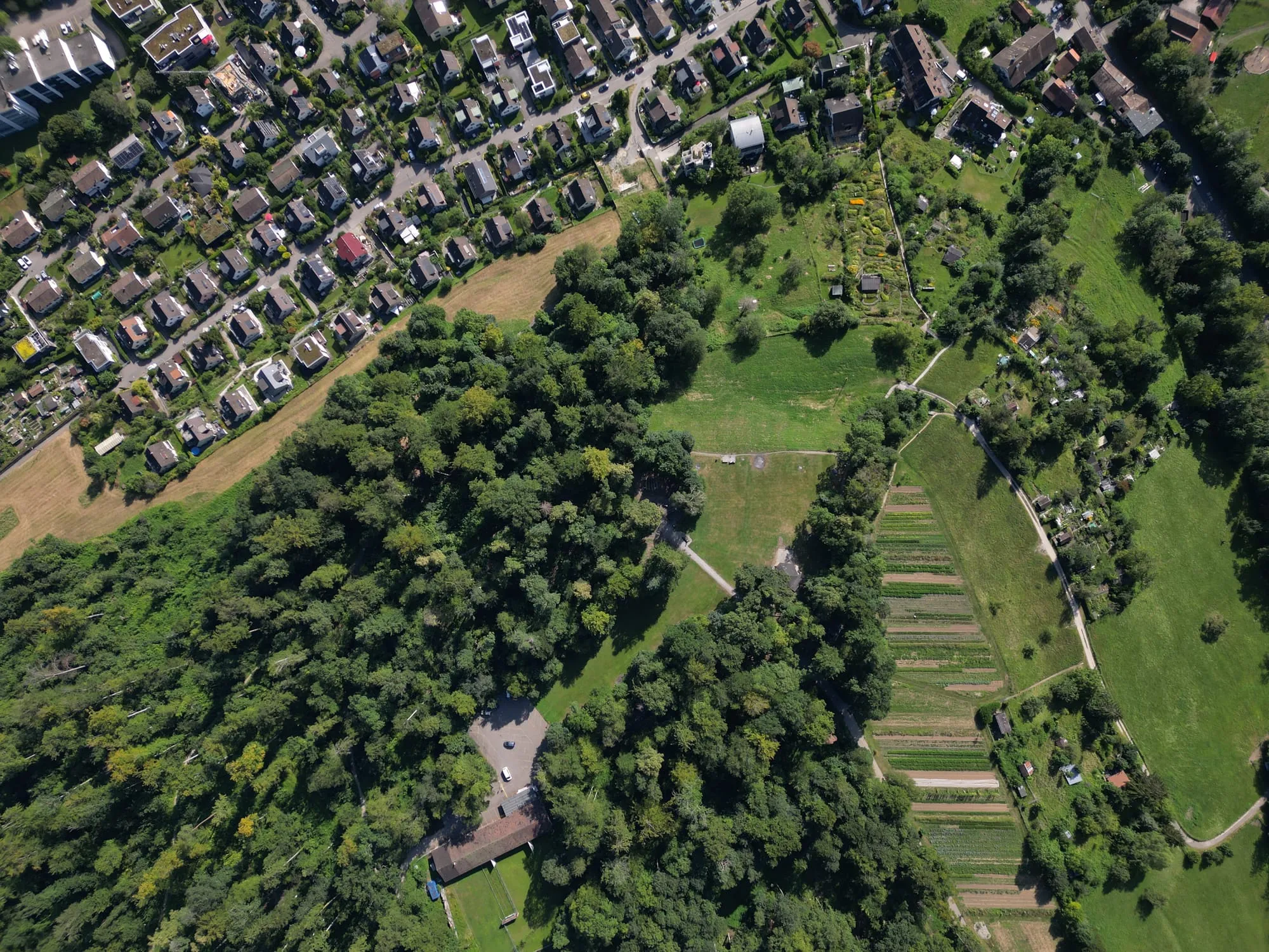 Der letzte Tanz im Sommerhimmel: Ein Freiluftrave im Hasenrain